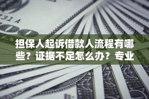 济南担保人起诉借款人流程有哪些？证据不足怎么办？专业律师解答