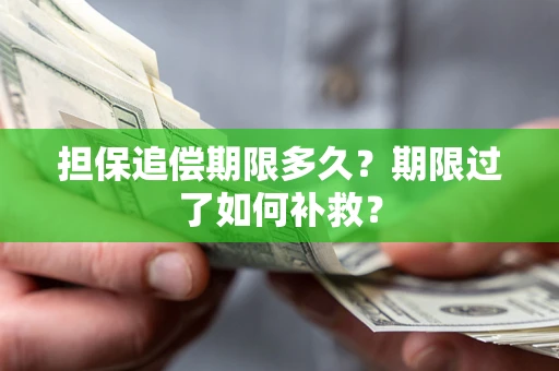 济南担保追偿期限多久？期限过了如何补救？